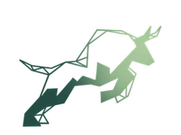 Green Bull Investment Banking Group